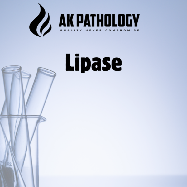 Lipase