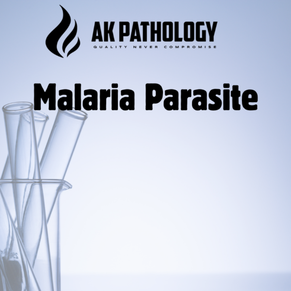 Malaria Parasite