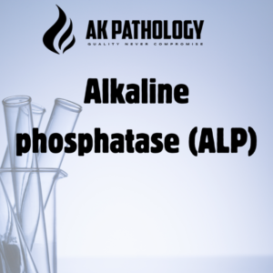 Alkaline phosphatase (ALP)