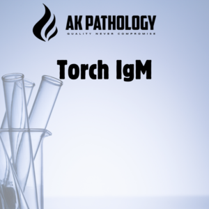 Torch IgM