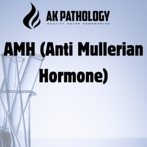 AMH (Anti Mullerian Hormone)