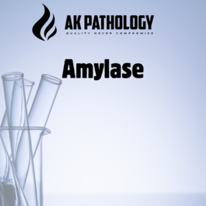 Amylase