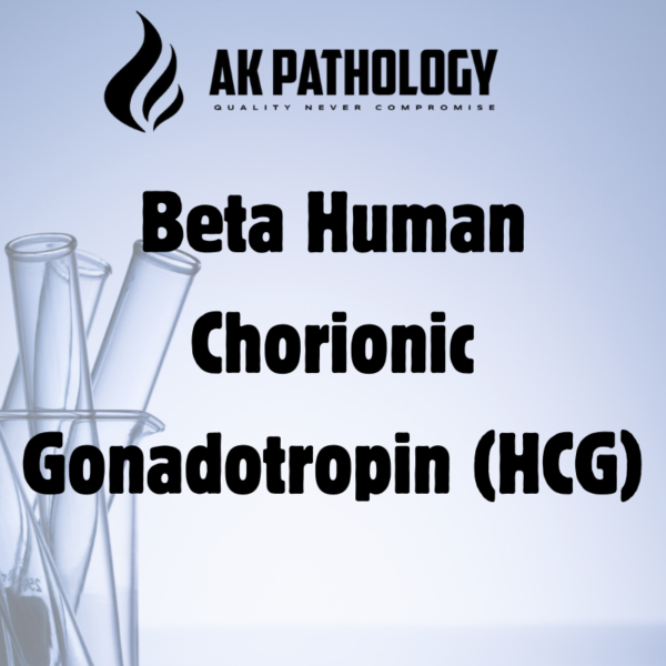 Beta Human Chorionic Gonadotropin (BHCG)